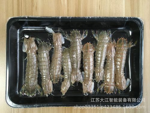 江苏大江厂 冻品生鲜肉制品封口海鲜食品保鲜真空贴体包装机